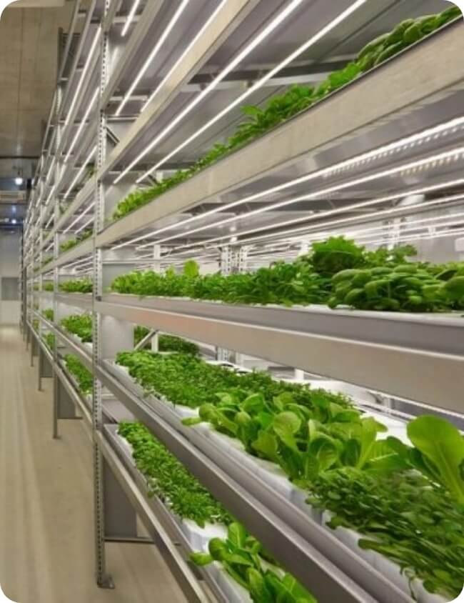 Vertical Farms | Affinity Tech